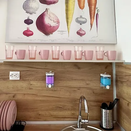 The Rainbow 9 * 소피아